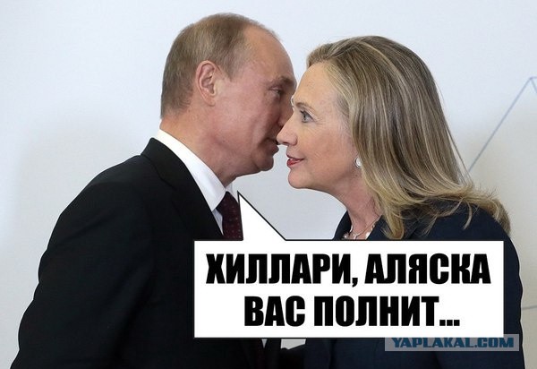 Порция картинок из сети