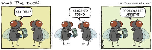 Строю Надёжный и долговечный дом, стены