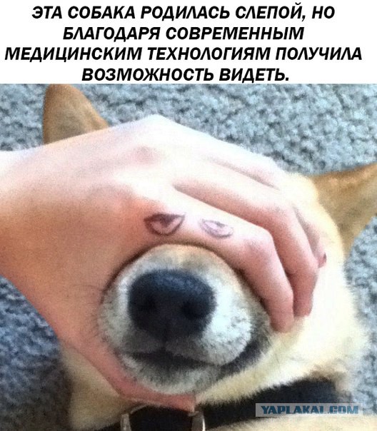 Приколы в стиле деградация