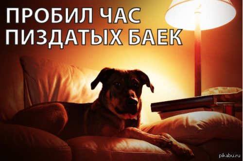 Как я квартиру сдал на свою голову