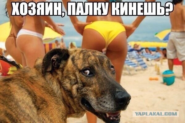 Подборка интересных и веселых картинок
