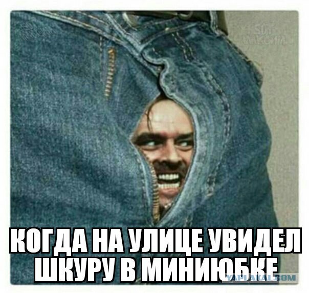Прикольные картинки 04.06.2017