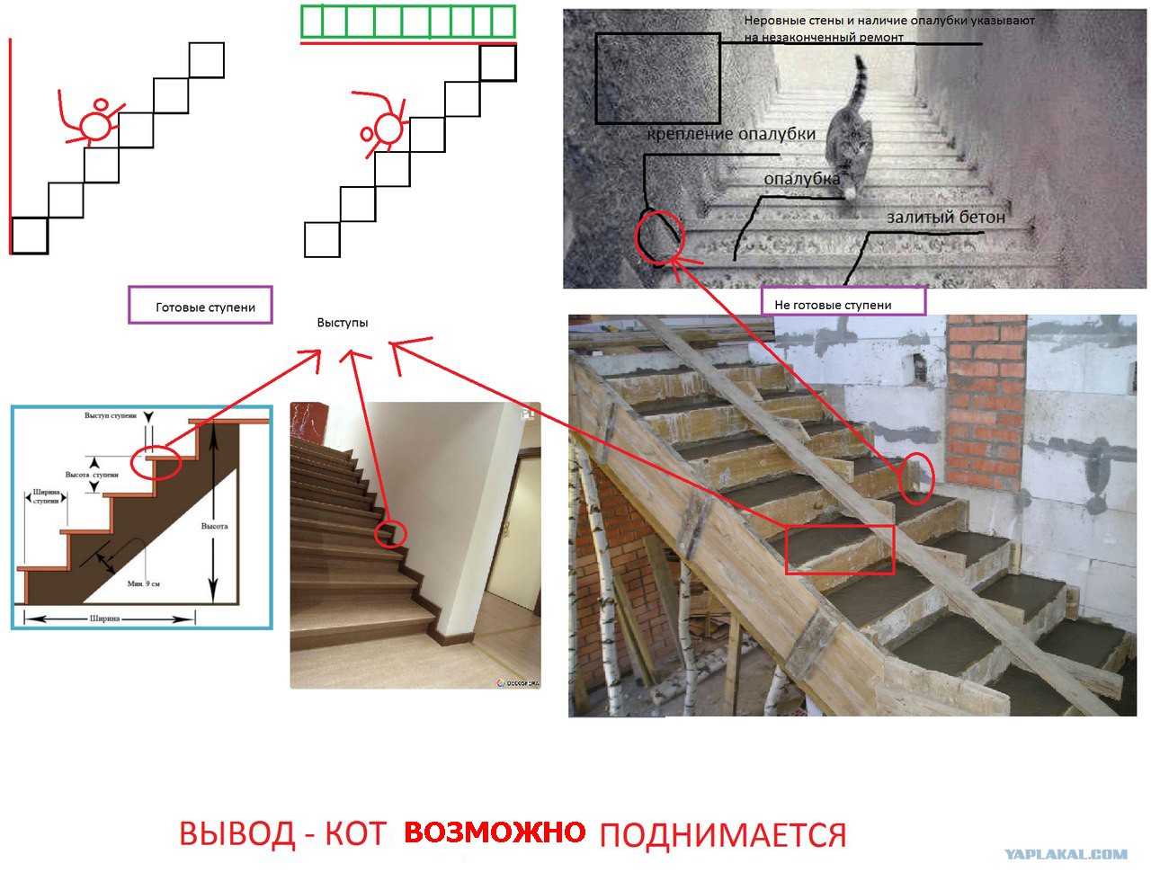 вопросы для выявления шизофрении. тесты для больных шизофренией. кот идет по лестнице. тесты на шизофрению куда идет кот. вопросы на шизофрению.