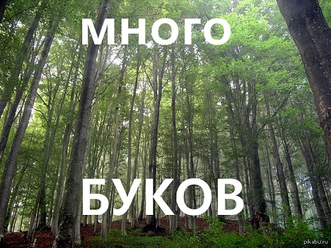 Как я выживал в Канаде в 90х годах