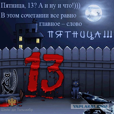 Жизнь как она есть 2