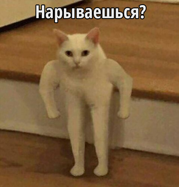 30 снимков, которые помогут улыбнуться даже в самый ненастный день