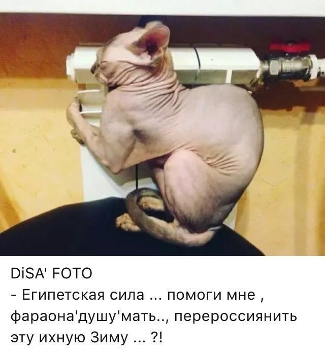 Ой, маразм, маразм,  не маразмь меня!