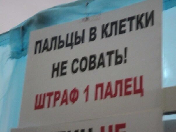 От работы отдыхаем, на картинки залипаем