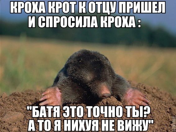 Российские комплексы РЭБ в Сирии остановили навигацию в Средиземном море