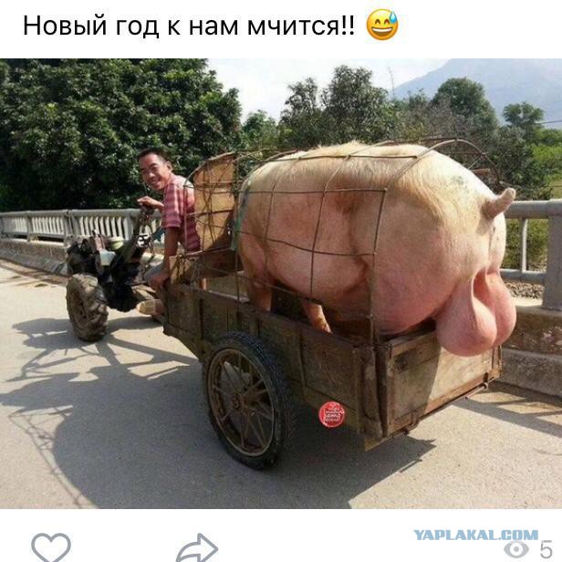 С новым годом!