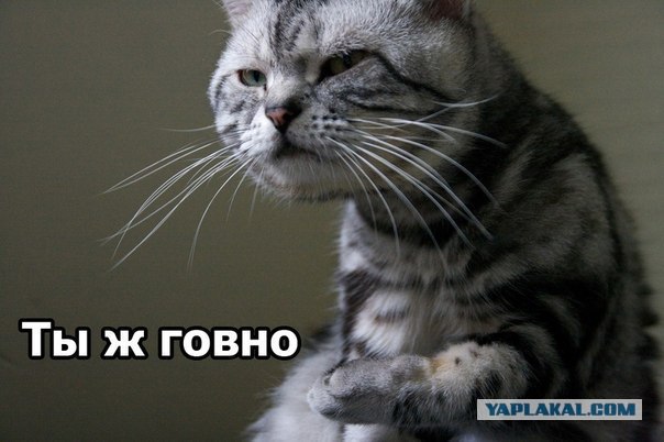 Без чувств...