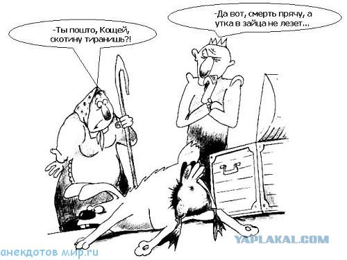 11 причин, почему старый мужчина выбирает молодую женщину