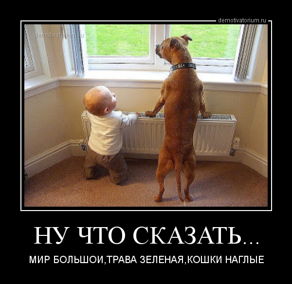 Нефтянных денег "нет" но вы держитесь