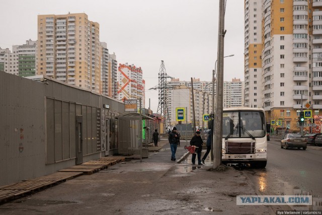 Шушары: маленькая Швейцария в Петербурге