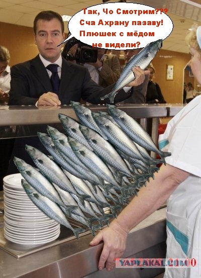 Фотожаба: Новый президент России