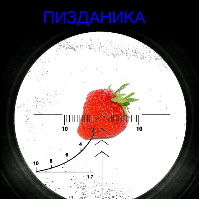 Фотожаба: Лето, фрукты, генетика!