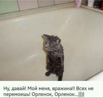 Так себе картинки 09.06.20