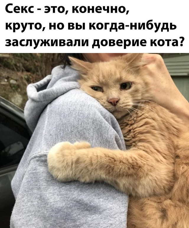 Прикольные и просто красивые картинки 02.10.2020
