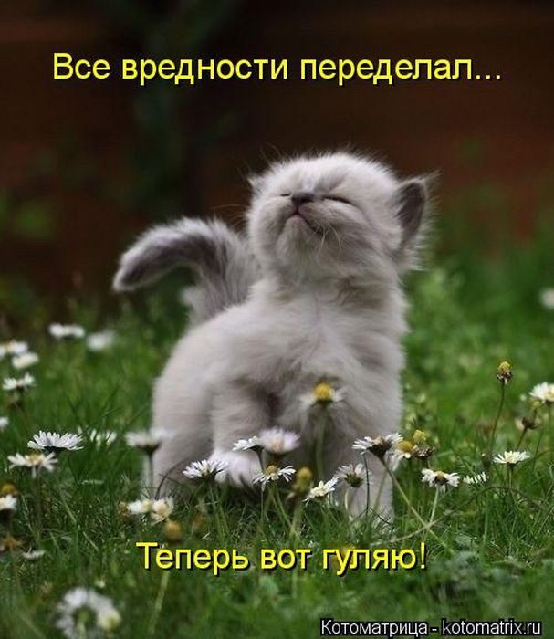 Картинки разные 08.10.2020