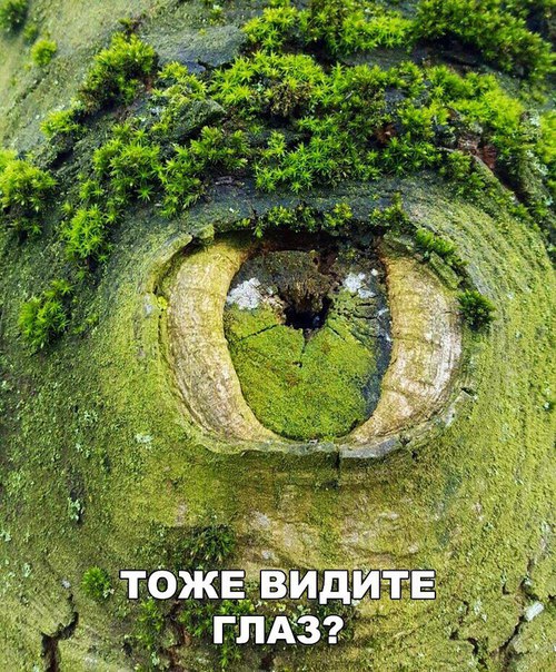 Картинки и мемы для настроения 025