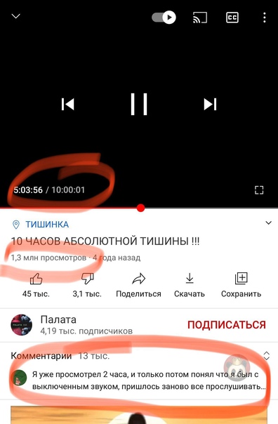Баянисто-небаянистый юмор 03.02.21