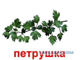Как тренер переживает.