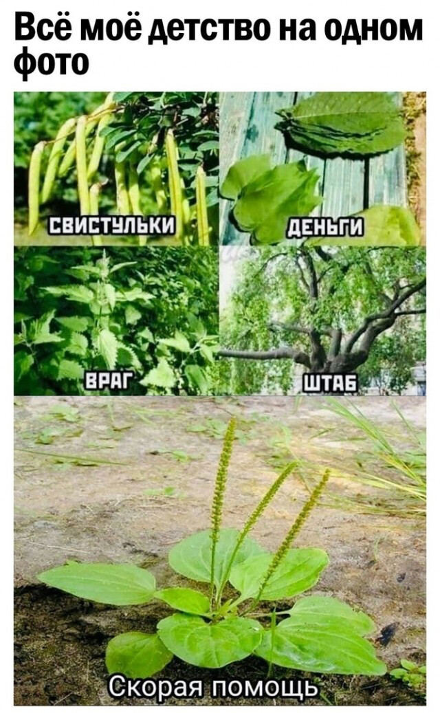 Фотки и картинки с текстом: юморные и красивые, забавные и милые 12.07.21
