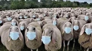 Упорные итальянцы продолжают протестовать против введения "ковид-сертификатов" (Green pass) в Риме