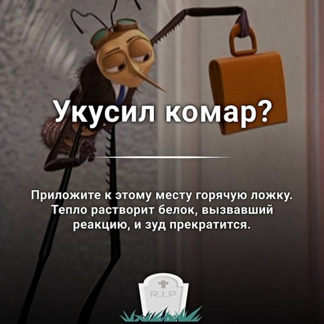 Баянисто-небаянистый юмор 09.08.21