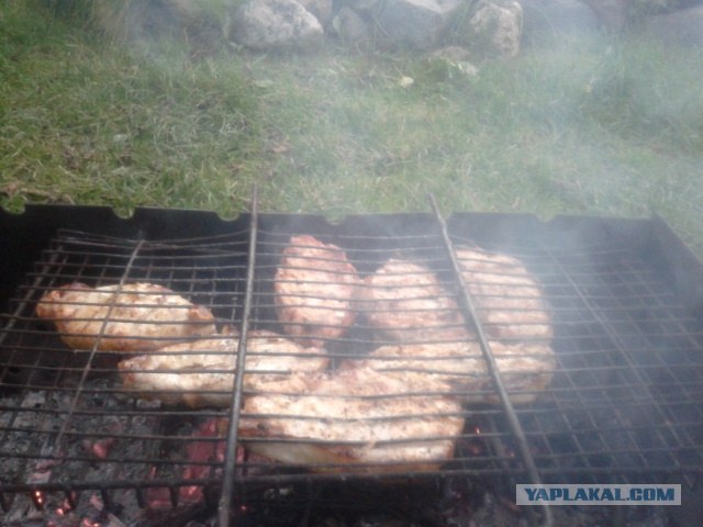 Дача, грибы, мясо, овощи.