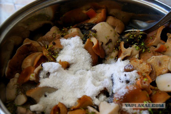 Осень в банках