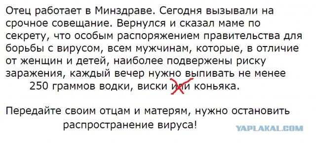 Так себе картинки 17.11.21
