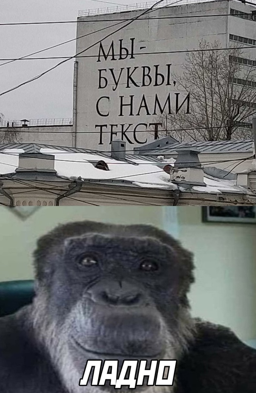 Весёлый полтишок 13.03.22