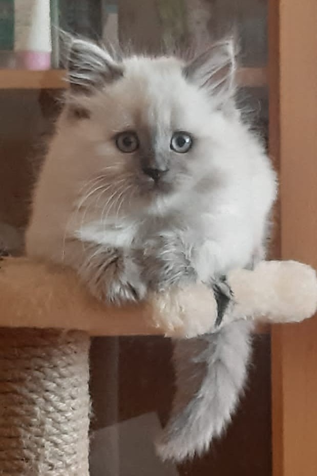 Ну, поехали в котоввторник!