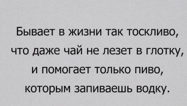 16880162.jpg