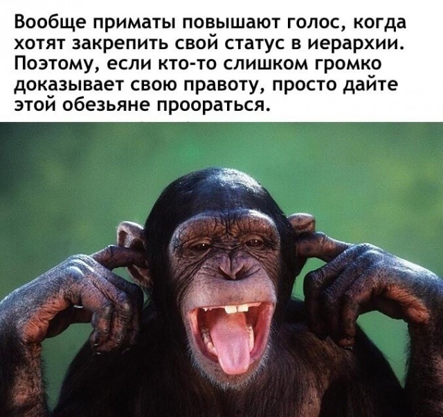 Картинки и мемы для настроения - 29