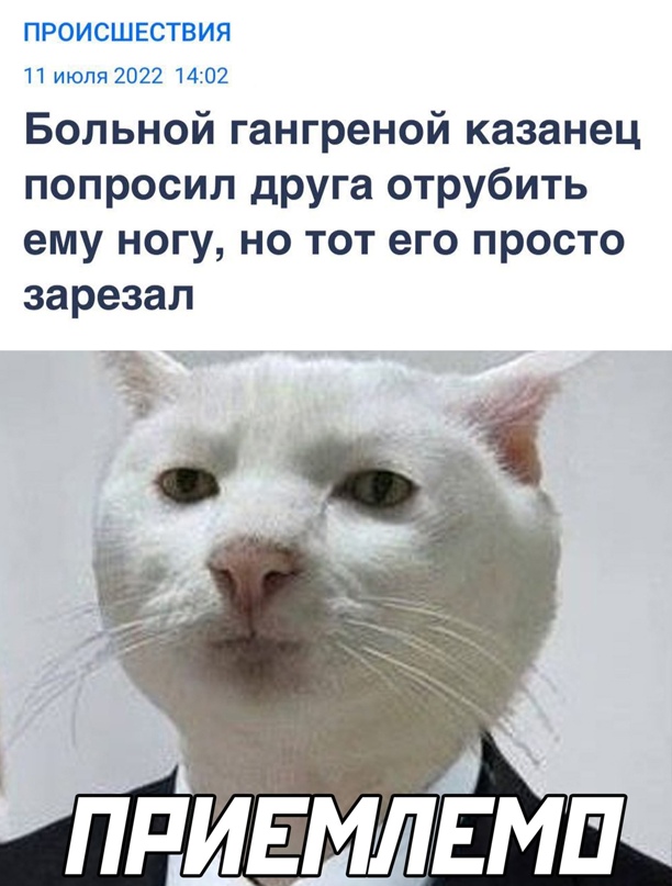 Картинки и мемы для настроения - 15