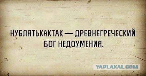 Весёлый полтишок 11.08.22