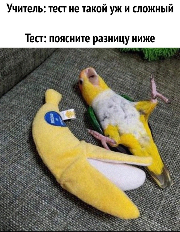 Немного картинок."Колбасный ветер". Август