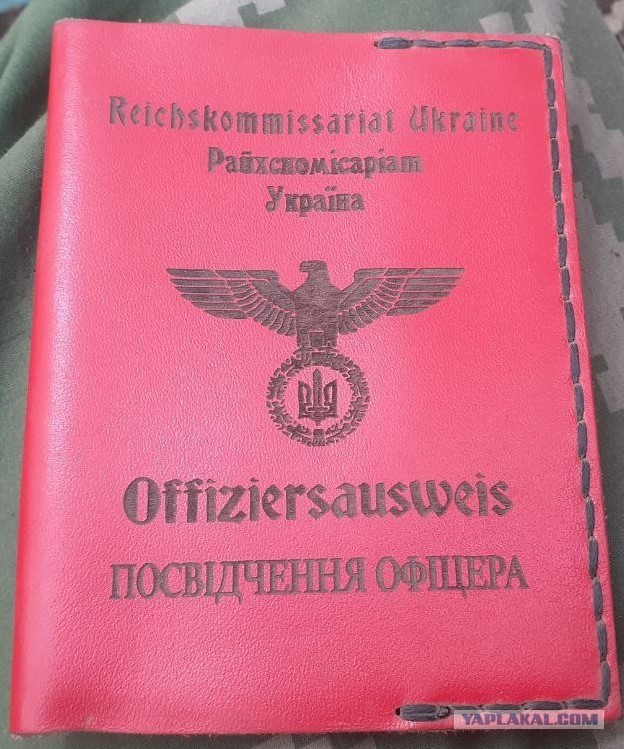 Минпросвещения РФ разработало методички для проведения занятий в школах на тему Украины и патриотизма.