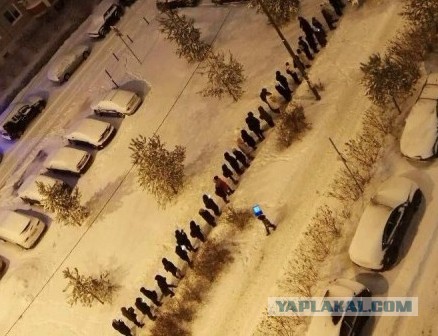 В Бутово сегодня такая очередь
