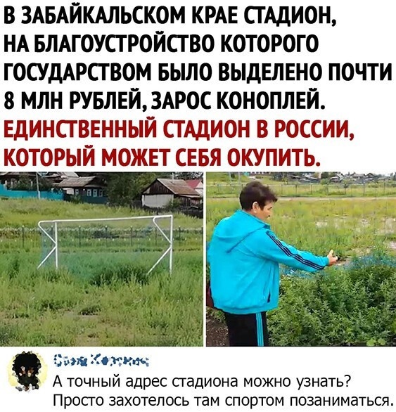 Картинки и мемы для настроения - 119