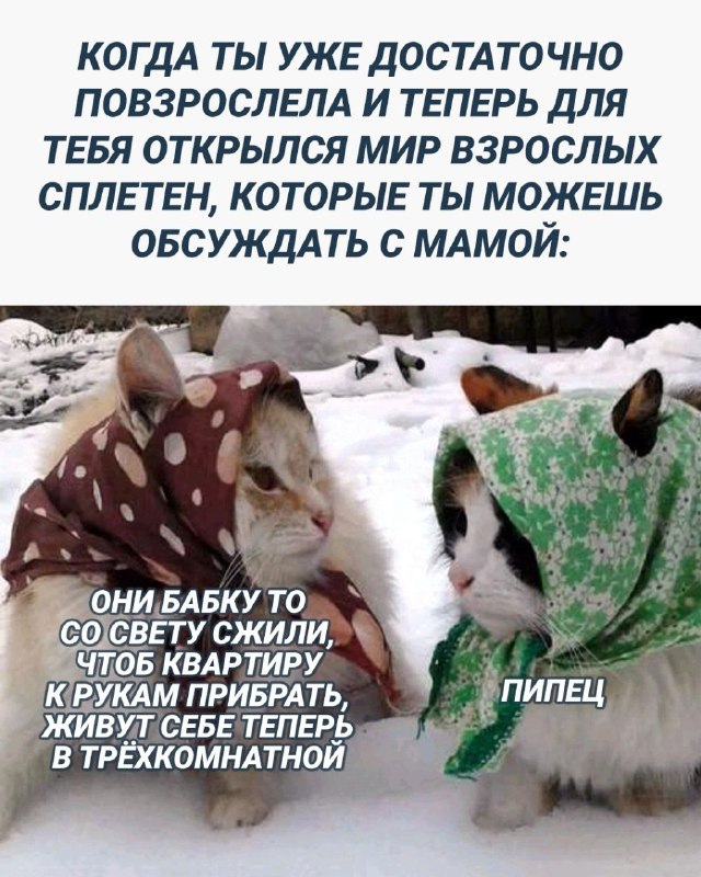 Немного картинок для настроения - 129