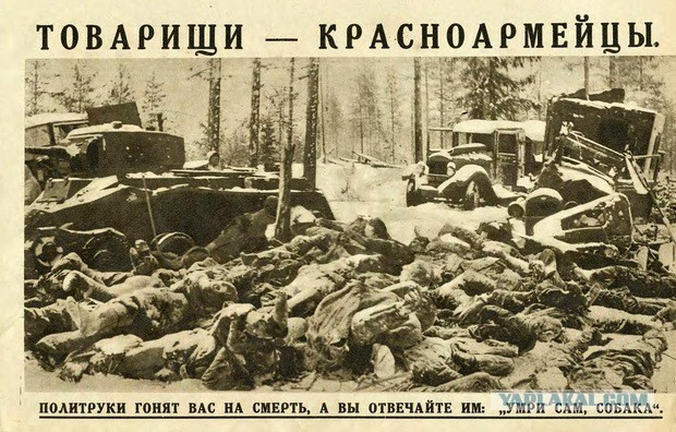 Финляндия начала строительство забора на своей границе с Россией - BBC News