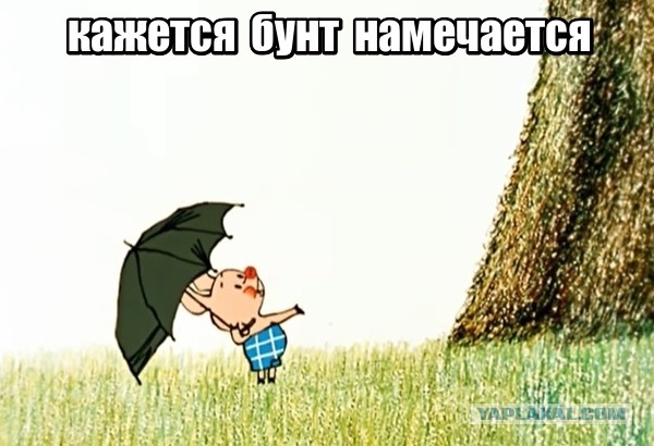Очередной привет от руководства ЧВК "Вагнер" в сторону МО РФ