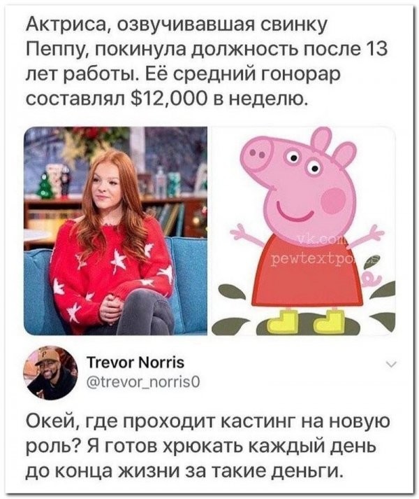 Весёлый полтишок 08.05.23