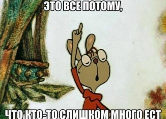 Попытка кота сбежать из дома провалилась полностью.