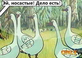 Наташа свали!