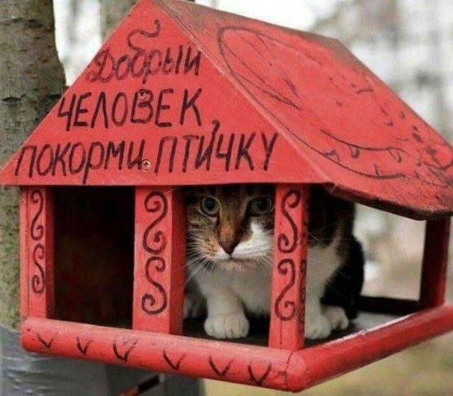 Так себе картинки 09.10.23