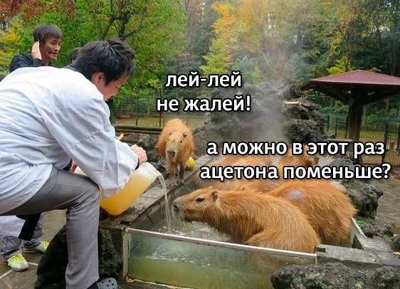 Всего понемногу. От 10.11.23